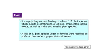 Host
• It is a polyphagous pest feeding on a least 118 plant species,
which include a combination of edibles, ornamentals, palms,
weeds, as well as native and invasive plant species.
• A total of 17 plant species under 11 families were recorded as
preferred hosts of A. rugioperculatus at Kerala.
(Stocks and Hodges, 2012)
 