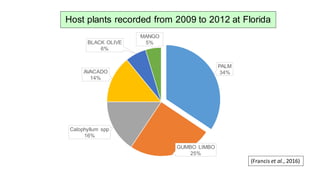Host plants recorded from 2009 to 2012 at Florida
PALM
34%
GUMBO LIMBO
25%
Calophyllum spp
16%
AVACADO
14%
BLACK OLIVE
6%
MANGO
5%
(Francis et al., 2016)
 