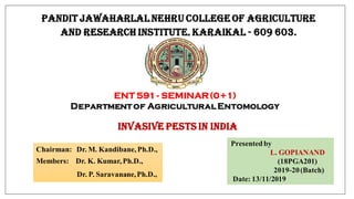 PANDIT JAWAHARLAL NEHRU COLLEGE OF AGRICULTURE
AND RESEARCH INSTITUTE, KARAIKAL - 609 603.
ENT 591 - SEMINAR(0+1)
Departmentof AgriculturalEntomology
Presentedby
L. GOPIANAND
(18PGA201)
2019-20(Batch)
Date: 13/11/2019
Chairman: Dr. M. Kandibane, Ph.D.,
Members: Dr. K. Kumar, Ph.D.,
Dr. P. Saravanane,Ph.D.,
INVASIVE PESTS IN INDIA
 