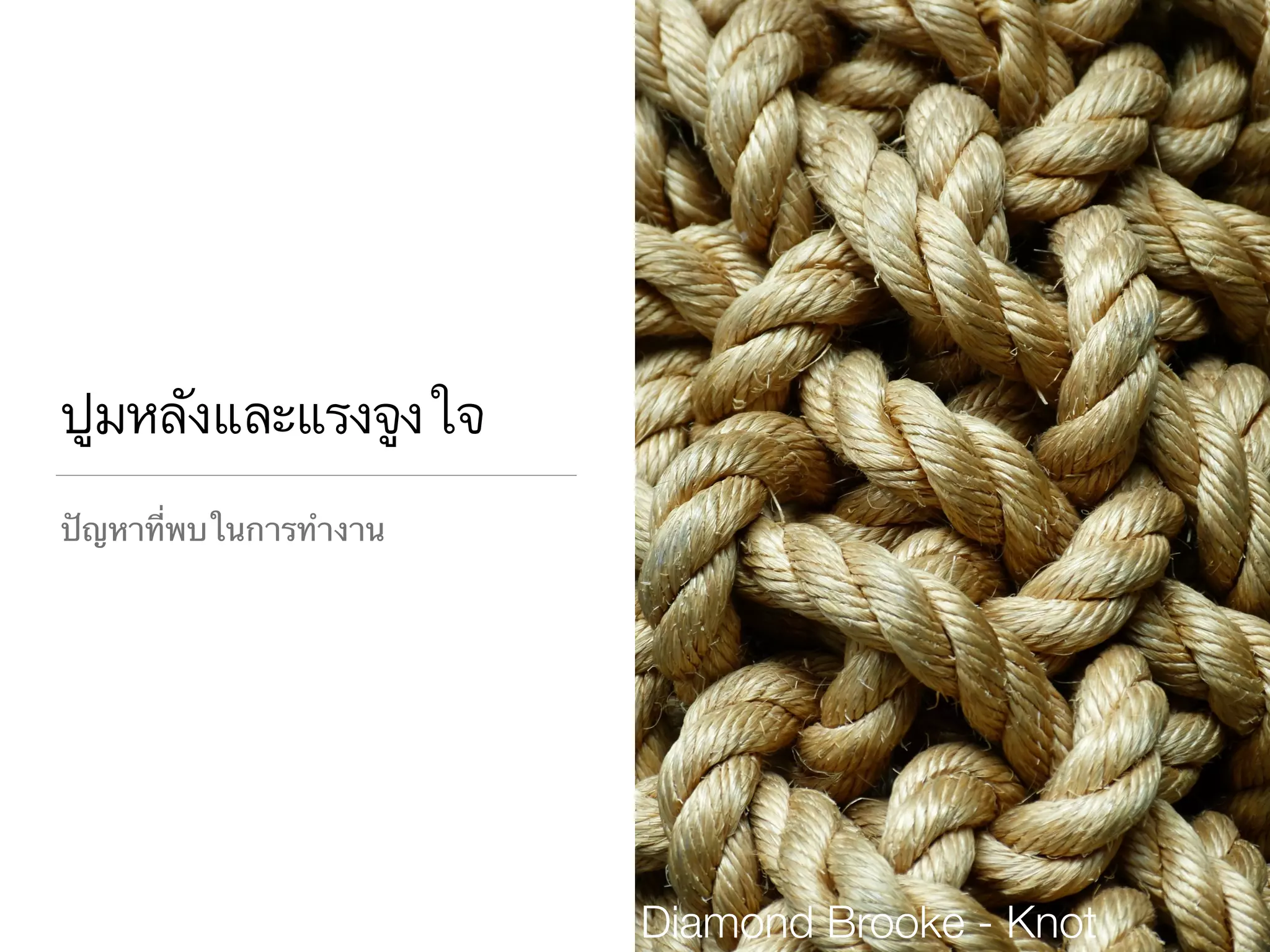 ปูมหลังและแรงจูงใจ
ปัญหาที่พบในการทำงาน
Diamond Brooke - Knot
 