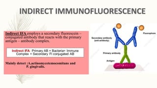 Ifa Homogenous Advances in Microbiological diagnosis of Periodontal diseases | PPTX