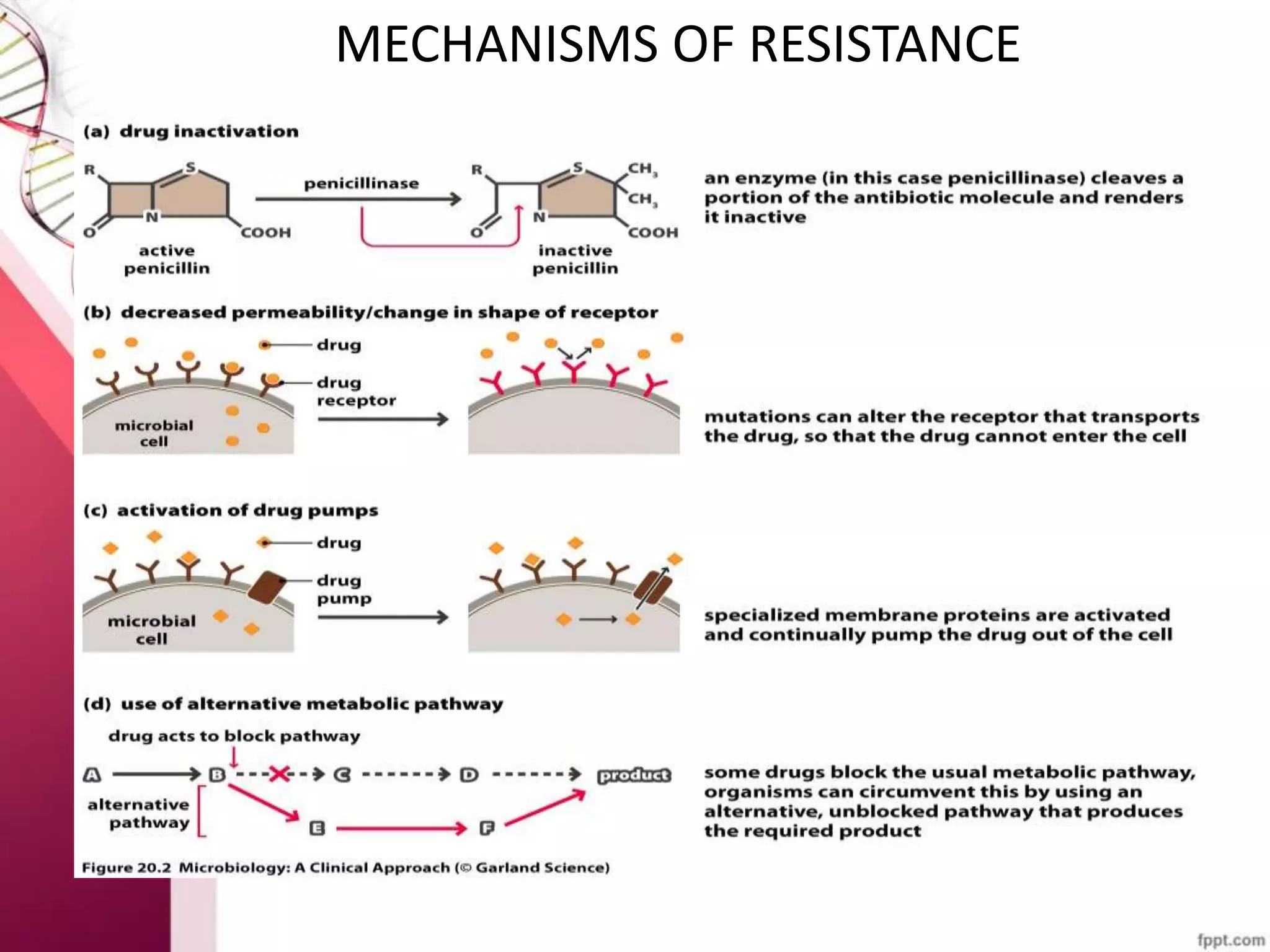 MOLECULAR BASIS & MECHANISMS OF DRUG RESISTANCE IN MYCOBACTERIUM ...