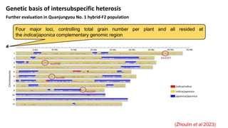 Heterosis Graph Understanding heterosis: unfolding classical theories | PPTX