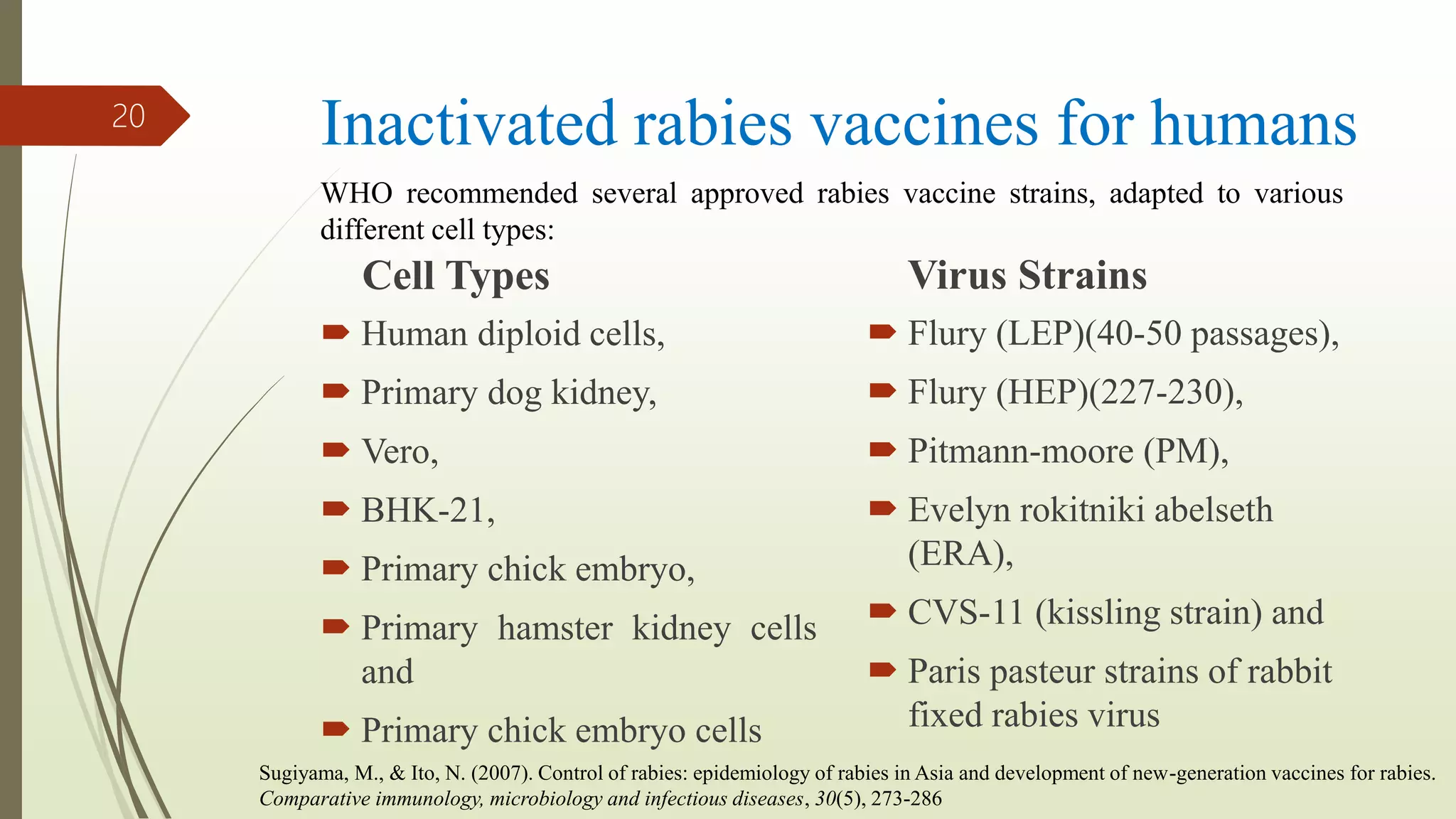 Rabies vaccines | PPTX