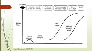 13
https://infogr.am/rabies-7022587310
 