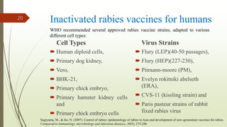 Inactivated rabies vaccines for humans
Cell Types
 Human diploid cells,
 Primary dog kidney,
 Vero,
 BHK-21,
 Primary chick embryo,
 Primary hamster kidney cells
and
 Primary chick embryo cells
Virus Strains
 Flury (LEP)(40-50 passages),
 Flury (HEP)(227-230),
 Pitmann-moore (PM),
 Evelyn rokitniki abelseth
(ERA),
 CVS-11 (kissling strain) and
 Paris pasteur strains of rabbit
fixed rabies virus
WHO recommended several approved rabies vaccine strains, adapted to various
different cell types:
20
Sugiyama, M., & Ito, N. (2007). Control of rabies: epidemiology of rabies in Asia and development of new-generation vaccines for rabies.
Comparative immunology, microbiology and infectious diseases, 30(5), 273-286
 