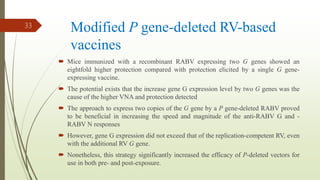 Modified P gene-deleted RV-based
vaccines
 Mice immunized with a recombinant RABV expressing two G genes showed an
eightfold higher protection compared with protection elicited by a single G gene-
expressing vaccine.
 The potential exists that the increase gene G expression level by two G genes was the
cause of the higher VNA and protection detected
 The approach to express two copies of the G gene by a P gene-deleted RABV proved
to be beneficial in increasing the speed and magnitude of the anti-RABV G and -
RABV N responses
 However, gene G expression did not exceed that of the replication-competent RV, even
with the additional RV G gene.
 Nonetheless, this strategy significantly increased the efficacy of P-deleted vectors for
use in both pre- and post-exposure.
33
 