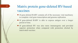 Matrix protein gene-deleted RV-based
vaccines
 M gene-deleted RABV contains all of the necessary viral machinery
to complete viral gene transcription and genome replication
 M gene-deleted RABV is able to express antigen over a longer
period of time.
 M gene-deleted RV was also more immunogenic and provided
superior protection when compared with protection elicited by
inactivated vaccines.
34
 
