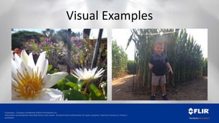 Proprietary - Company Confidential ©2014 FLIR Systems Inc.
Information and equipment described herein may require US Government authorization for export purposes. Diversion contrary to US law is
prohibited.
Visual Examples
 
