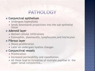  Conjunctval epithelium
 Undergoes hyperplasia
 Sends downwards projections into the sub epithelial
tissue
 Adenoid layer
 Marked cellular infiltrations
 Eosinophils, plasmacells, lymphocytes,and histiocytes
 Fibrous layer
 Shows proliferation
 Later on undergoes hyaline changes
 Conjunctival vessels
 Proliferation
 Increased permeability and vasodilation.
 All these lead to formation of multiple papillae in the
upper tarsal conjunctiva…
 