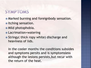  Marked burning and foreignbody sensation.
 Itching sensation.
 Mild photophobia.
 Lacrimation+watering
 Stringy( thick ropy white) discharge and
heaviness of lids.
in the cooler months the conditions subsides
and symptoms persits and is symptomsless
although the lesions persists,but recur with
the return of the heat.
 