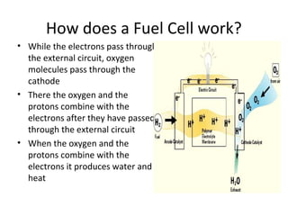 How does a Fuel Cell work?
• While the electrons pass through
  the external circuit, oxygen
  molecules pass through the
  cathode
• There the oxygen and the
  protons combine with the
  electrons after they have passed
  through the external circuit
• When the oxygen and the
  protons combine with the
  electrons it produces water and
  heat
 