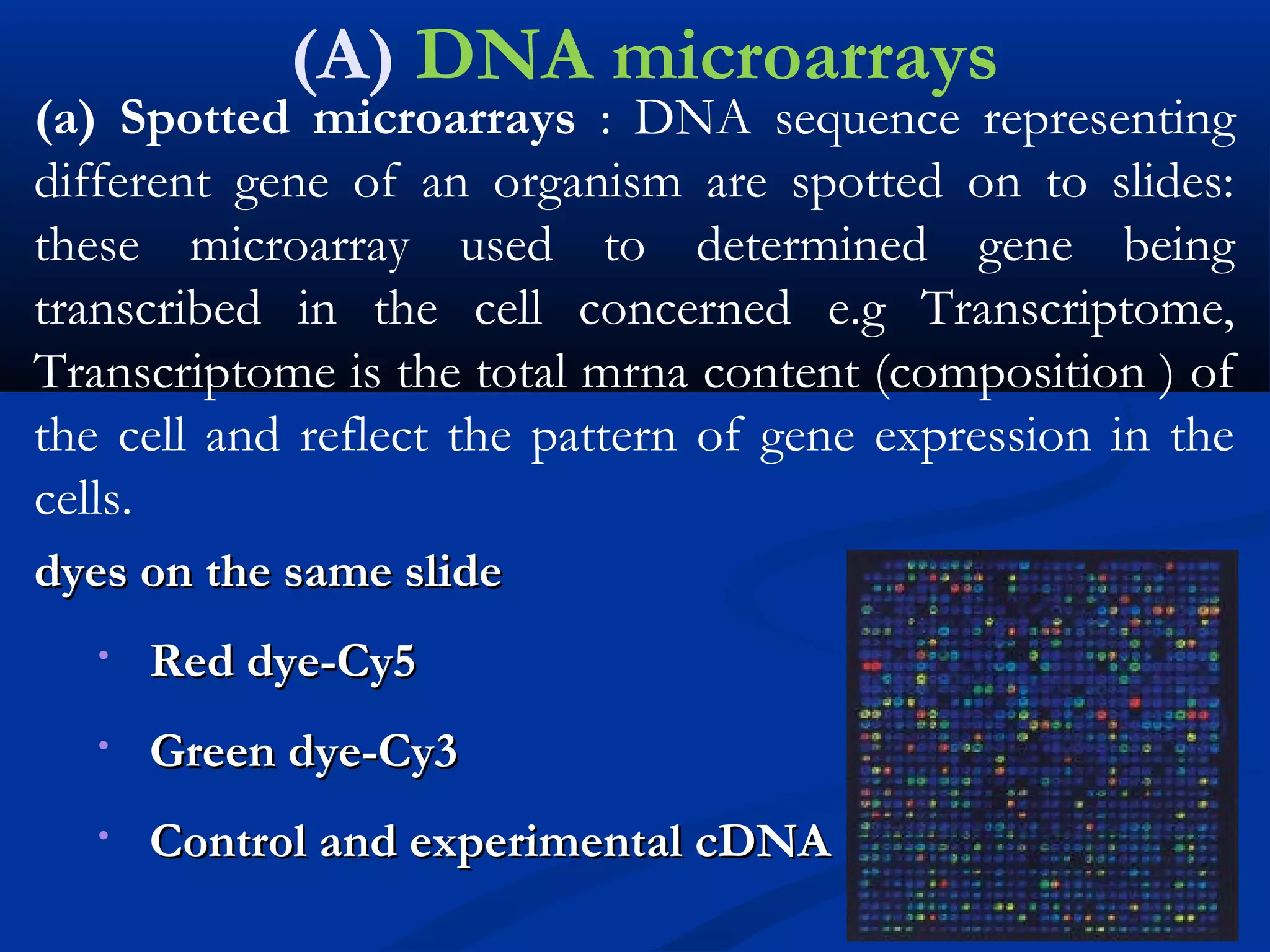 (A) DNA microarrays
(a) Spotted microarrays : DNA sequence representing
different gene of an organism are spotted on to slides:
these microarray used to determined gene being
transcribed in the cell concerned e.g Transcriptome,
Transcriptome is the total mrna content (composition ) of
the cell and reflect the pattern of gene expression in the
cells.
dyes on the same slidedyes on the same slide
• Red dye-Cy5Red dye-Cy5
• Green dye-Cy3Green dye-Cy3
• Control and experimental cDNAControl and experimental cDNA
 