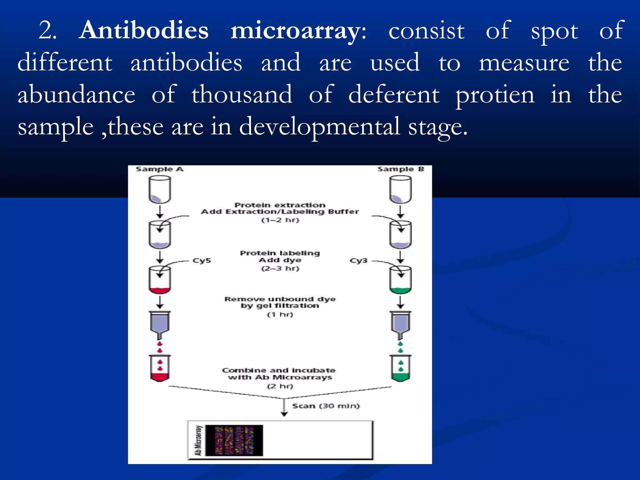 2. Antibodies microarray: consist of spot of
different antibodies and are used to measure the
abundance of thousand of deferent protien in the
sample ,these are in developmental stage.
 