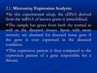 2.1. Microarray Expression Analysis: 
In this experimental setup, the cDNA derived
from the mRNA of known genes is immobilized.
The sample has genes from both the normal as
well as the diseased tissues. Spots with more
intensity are obtained for diseased tissue gene if
the gene is over expressed in the diseased
condition.
This expression pattern is then compared to the
expression pattern of a gene responsible for a
disease.
 