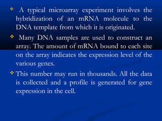  A typical microarray experiment involves the
hybridization of an mRNA molecule to the
DNA template from which it is originated.
 Many DNA samples are used to construct an
array. The amount of mRNA bound to each site
on the array indicates the expression level of the
various genes.
 This number may run in thousands. All the data
is collected and a profile is generated for gene
expression in the cell.
 
