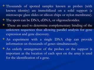  Thousands of spotted samples known as probes (with
known identity) are immobilized on a solid support (a
microscope glass slides or silicon chips or nylon membrane).
 The spots can be DNA, cDNA, or oligonucleotides.
 These are used to determine complementary binding of the
unknown sequences thus allowing parallel analysis for gene
expression and gene discovery.
 An experiment with a single DNA chip can provide
information on thousands of genes simultaneously.
 An orderly arrangement of the probes on the support is
important as the location of each spot on the array is used
for the identification of a gene.
 