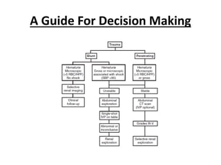 A Guide For Decision Making
 