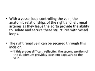 • With a vessel loop controlling the vein, the
anatomic relationships of the right and left renal
arteries as they leave the aorta provide the ability
to isolate and secure these structures with vessel
loops.
• The right renal vein can be secured through this
incision;
– if this proves difficult, reflecting the second portion of
the duodenum provides excellent exposure to the
vein.
 