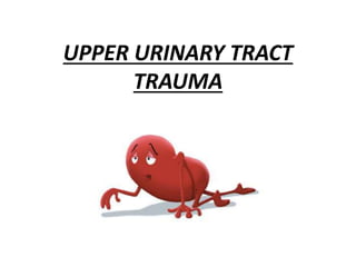 UPPER URINARY TRACT
TRAUMA
 