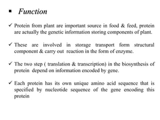  Function
 Protein from plant are important source in food & feed, protein
are actually the genetic information storing components of plant.
 These are involved in storage transport form structural
component & carry out reaction in the form of enzyme.
 The two step ( translation & transcription) in the biosynthesis of
protein depend on information encoded by gene.
 Each protein has its own unique amino acid sequence that is
specified by nucleotide sequence of the gene encoding this
protein
 