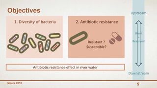 2. Antibiotic resistance
5
Objectives
1. Diversity of bacteria
Antibiotic resistance effect in river water
Moore 2010
Upstream
Downstream
Resistant ?
Susceptible?
River
=
Reservoir
 