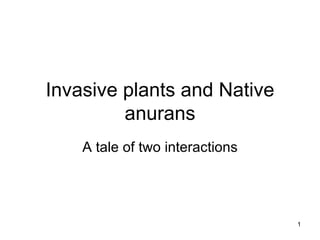 Invasive plants and Native
         anurans
    A tale of two interactions




                                 1
 