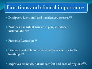 Functions and clinical importance
 Dissipates functional and masticatory stresses(7).
 Provides a resistant barrier to plaque induced
inflammation(8).
 Prevents Recession(9).
 Deepens vestibule to provide better access for tooth
brushing(10).
 Improves esthetics, patient comfort and ease of hygiene(11).
 
