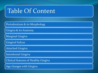 Table Of Content
Periodontium & its Morphology
Gingiva & its Anatomy
Marginal Gingiva
Gingival Sulcus
Attached Gingiva
Interdental Gingiva
Clinical features of Healthy Gingiva
Age changes with Gingiva
 