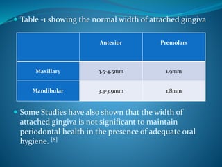 Table -1 showing the normal width of attached gingiva
 Some Studies have also shown that the width of
attached gingiva is not significant to maintain
periodontal health in the presence of adequate oral
hygiene. [8]
Anterior Premolars
Maxillary 3.5-4.5mm 1.9mm
Mandibular 3.3-3.9mm 1.8mm
 