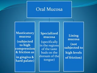Oral Mucosa
Masticatory
mucosa
(subjected
to high
compression
& friction as
in gingiva &
hard palate)
Specialized
mucosa
(specifically
in the regions
of the taste
buds on the
dorsum of the
tongue)
Lining
mucosa
(not
subjected to
high levels
of friction)
 