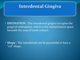 Interdental Gingiva
 DEFINATION : The interdental gingiva occupies the
gingival embrasures, which is the interproximal space
beneath the area of tooth contact.
 Shape : The interdental can be pyramidal or have a
"col" shape.
 