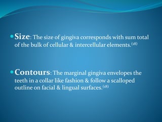 Size: The size of gingiva corresponds with sum total
of the bulk of cellular & intercellular elements.(18)
Contours: The marginal gingiva envelopes the
teeth in a collar like fashion & follow a scalloped
outline on facial & lingual surfaces.(18)
 