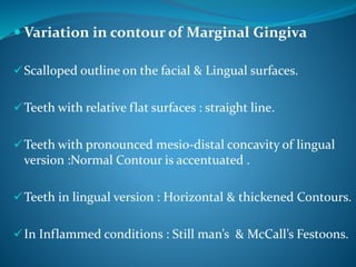  Variation in contour of Marginal Gingiva
Scalloped outline on the facial & Lingual surfaces.
Teeth with relative flat surfaces : straight line.
Teeth with pronounced mesio-distal concavity of lingual
version :Normal Contour is accentuated .
Teeth in lingual version : Horizontal & thickened Contours.
In Inflammed conditions : Still man’s & McCall’s Festoons.
 