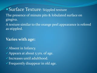 Surface Texture: Stippled texture
The presence of minute pits & lobulated surface on
gingiva.
A texture similar to the orange peel appearance is refered
as stippled.
Varies with age:
Absent in Infancy.
Appears at about 5 yrs. of age.
Increases until adulthood.
Frequently disappear in old age.
 