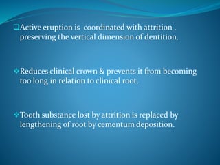 Active eruption is coordinated with attrition ,
preserving the vertical dimension of dentition.
Reduces clinical crown & prevents it from becoming
too long in relation to clinical root.
Tooth substance lost by attrition is replaced by
lengthening of root by cementum deposition.
 