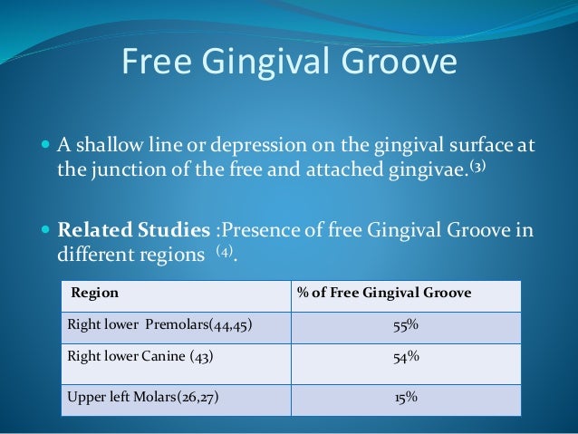 Gingiva Macroscopic Features