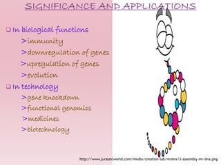 In biological functions
>immunity
>downregulation of genes
>upregulation of genes
>evolution
 In technology
>gene knockdown
>functional genomics
>medicines
>biotechnology
http://www.jurassicworld.com/media/creation-lab/mrdna/3-assembly-mr-dna.png
 