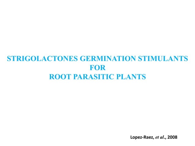 STRIGOLACTONES: Role In Plant Development | PDF