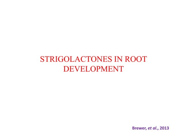STRIGOLACTONES: Role In Plant Development | PDF