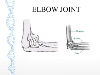 ELBOW JOINT
 