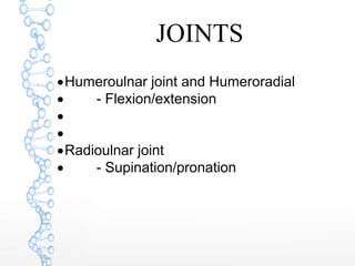 JOINTS
Humeroulnar joint and Humeroradial
 - Flexion/extension


Radioulnar joint
 - Supination/pronation
 
