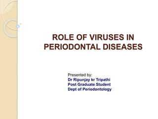 ROLE OF VIRUSES IN
PERIODONTAL DISEASES
Presented by:
Dr Ripunjay kr Tripathi
Post Graduate Student
Dept of Periodontology
 