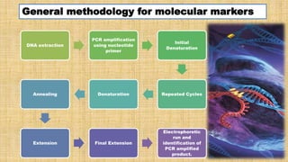 maintainance of genetic purity methods of genetic purity testing | PPTX