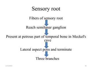 Sensorial Roots Nerve Supply of Head and Neck & Its Applied anatomy | PPTX