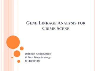 GENE LINKAGE ANALYSIS FOR
CRIME SCENE
Shabnam Ameenudeen
M. Tech Biotechnology
191442601007
 