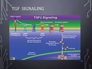 RECEPTORS and its FAMILIES, Detailed Pharmacology | PPTX