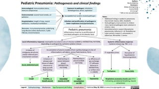 Acute Respiratory Infections in Children .pptx