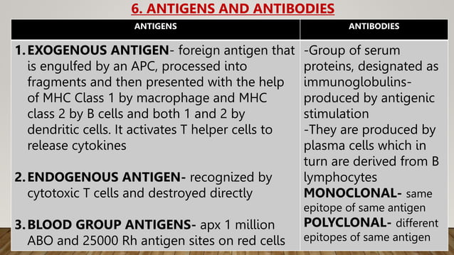 SEMINAR BASICS OF IMMUNOLOGY- Antigens antibodies immunoglobulins and ...