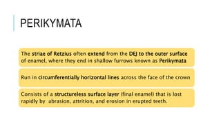 Enamel Rods and its implications | PPT